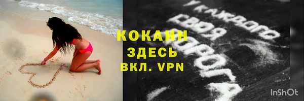 твердый Алексин
